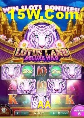 Apostas de Tênis 8AA